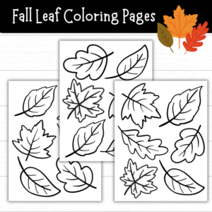 Fall Coloring Pages for Kids