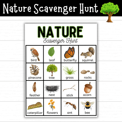 Nature Scavenger Hunt - Mom. Wife. Busy Life.