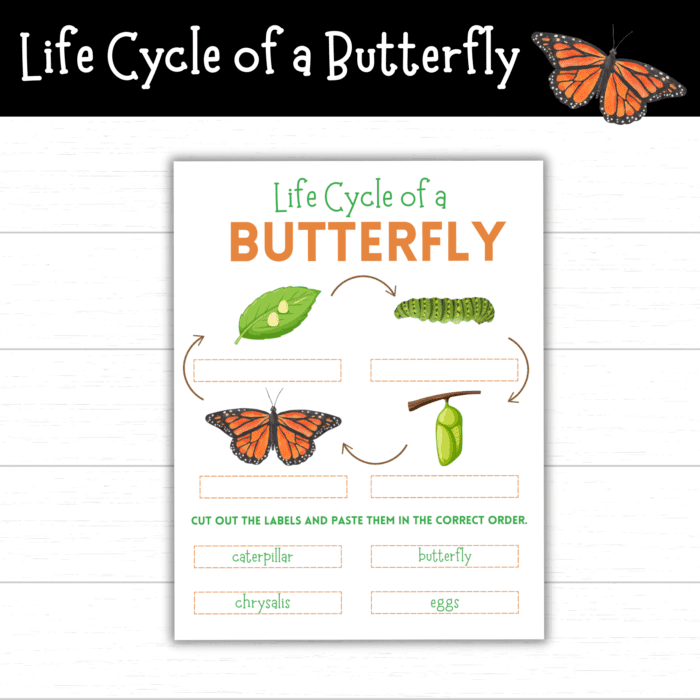 FREE Printable Butterfly Activity Pack - Mom. Wife. Busy Life.