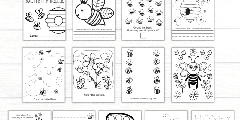 Printable Bee Activity Pack