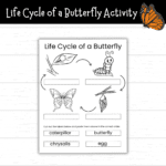 Printable Life Cycle of a Butterfly Cut and Paste Activity - Mom. Wife ...
