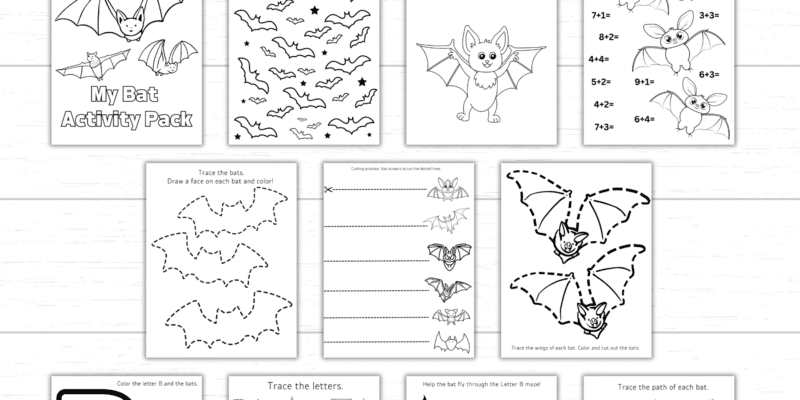 Printable Bat Activity Pack