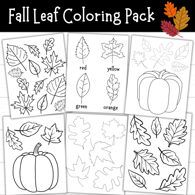 Printable Fall Leaf Coloring Pages (3 Sets)