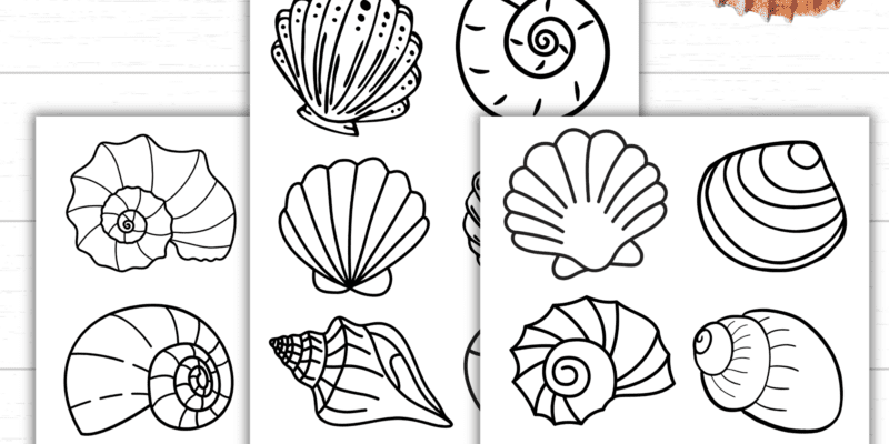 Printable Seashell Coloring Pages
