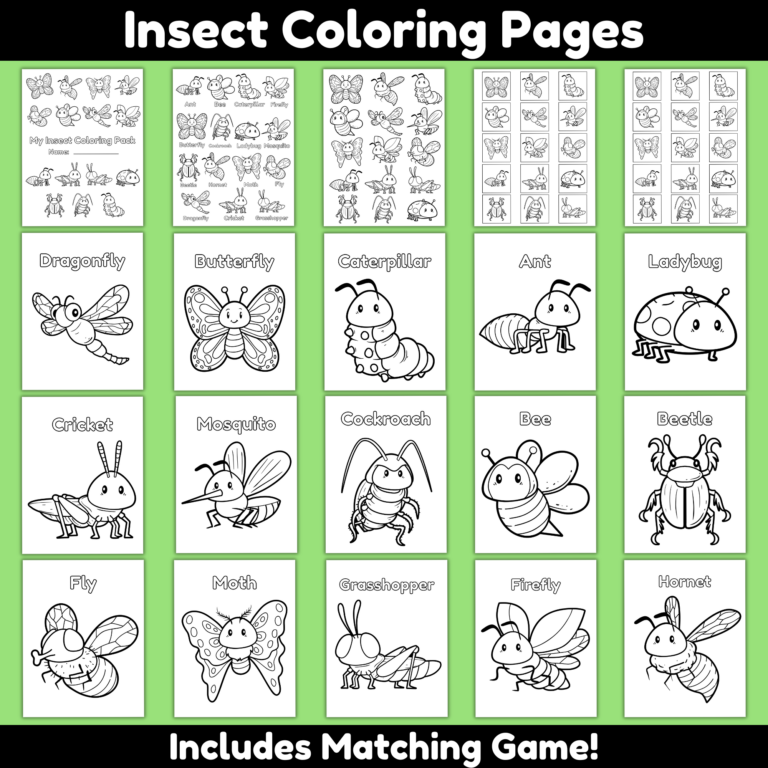 Insect Coloring Pack for Kids Printable: Spring Bug Unit - Mom. Wife ...